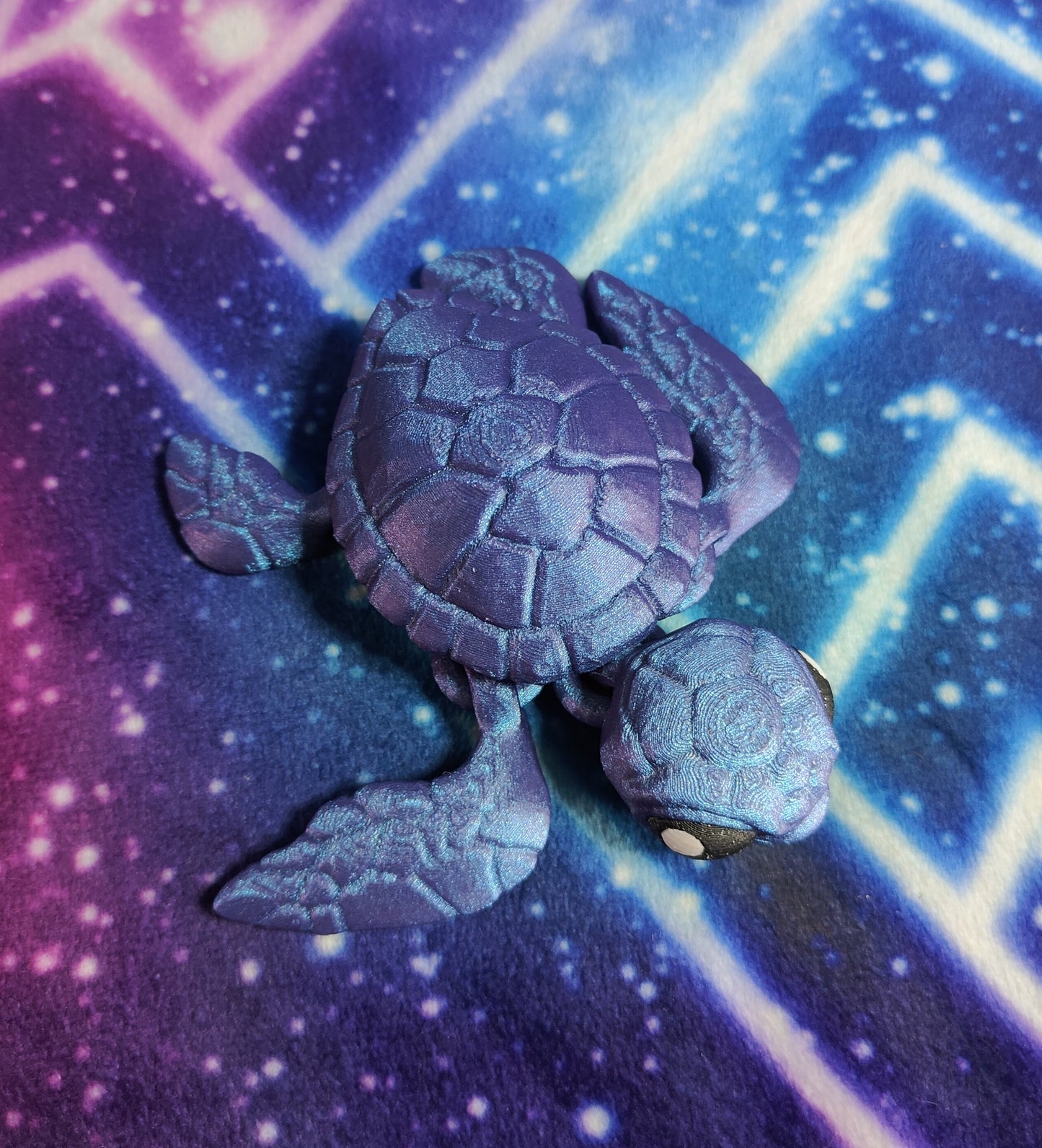Sea Turtles