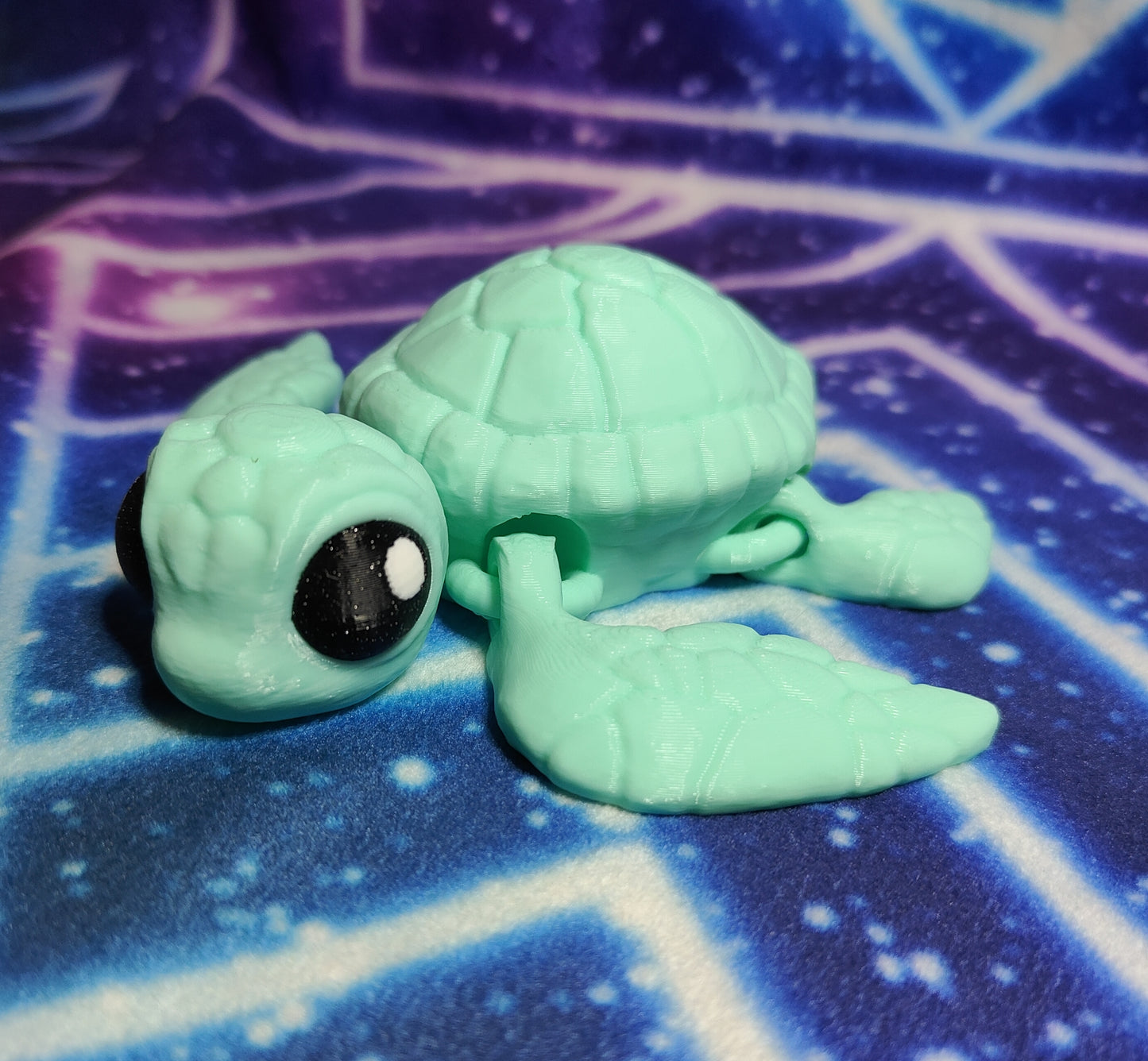 Sea Turtles
