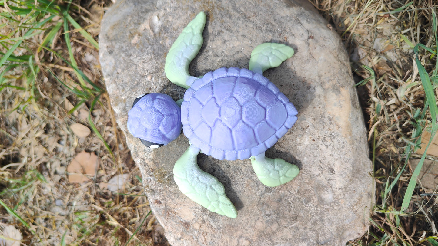 Sea Turtles