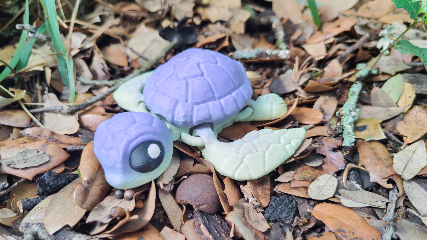 Sea Turtles