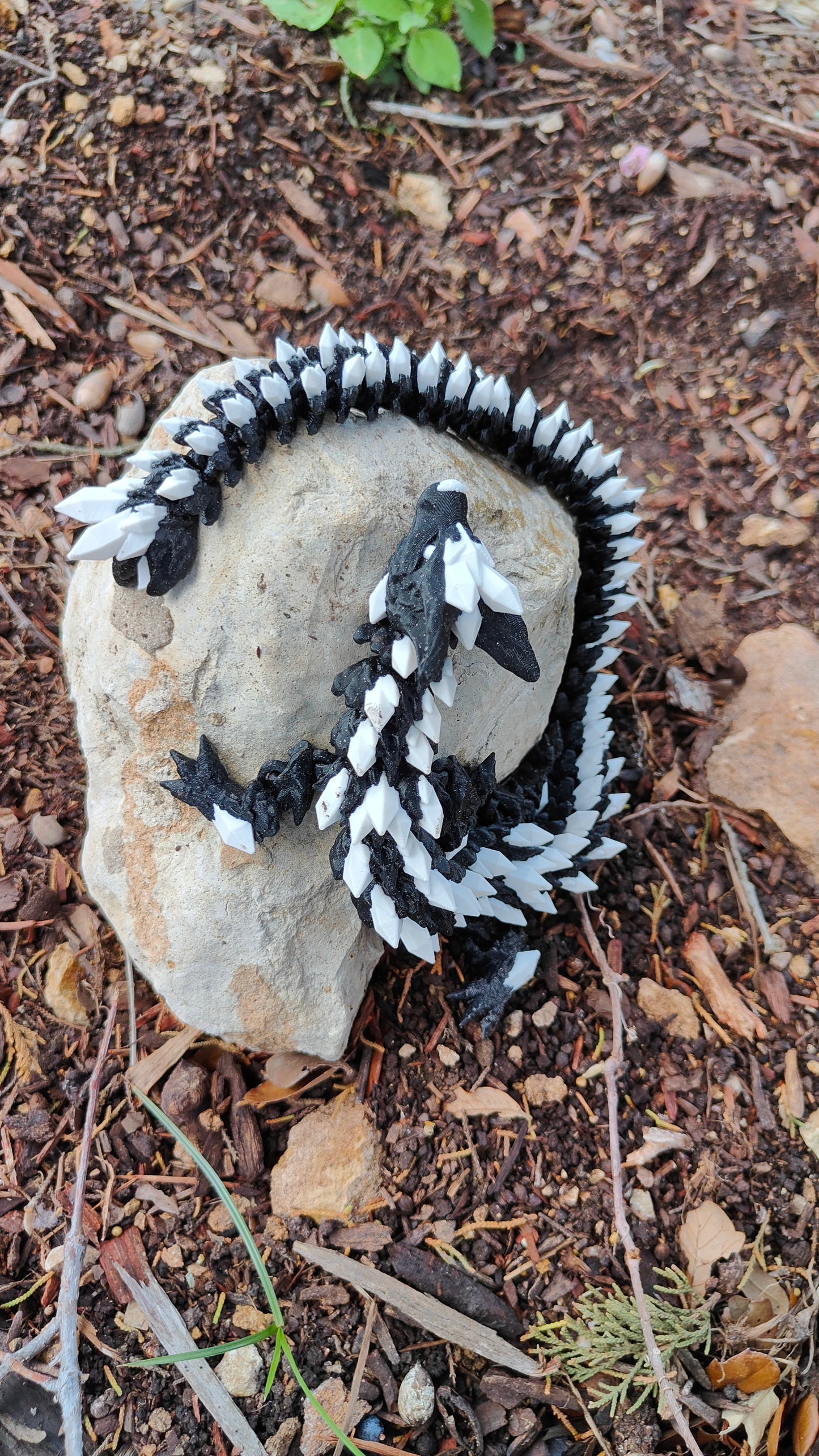 Wolf Serpent Dragon