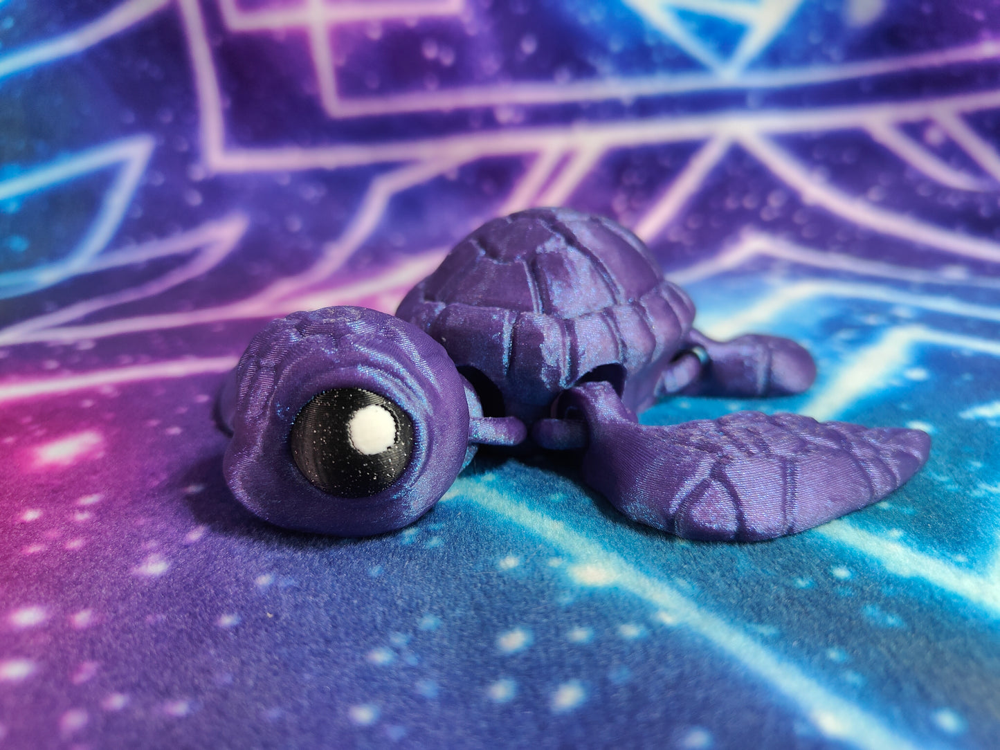Sea Turtles
