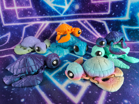 Sea Turtles